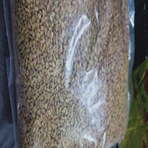 Fenugreek Seeds